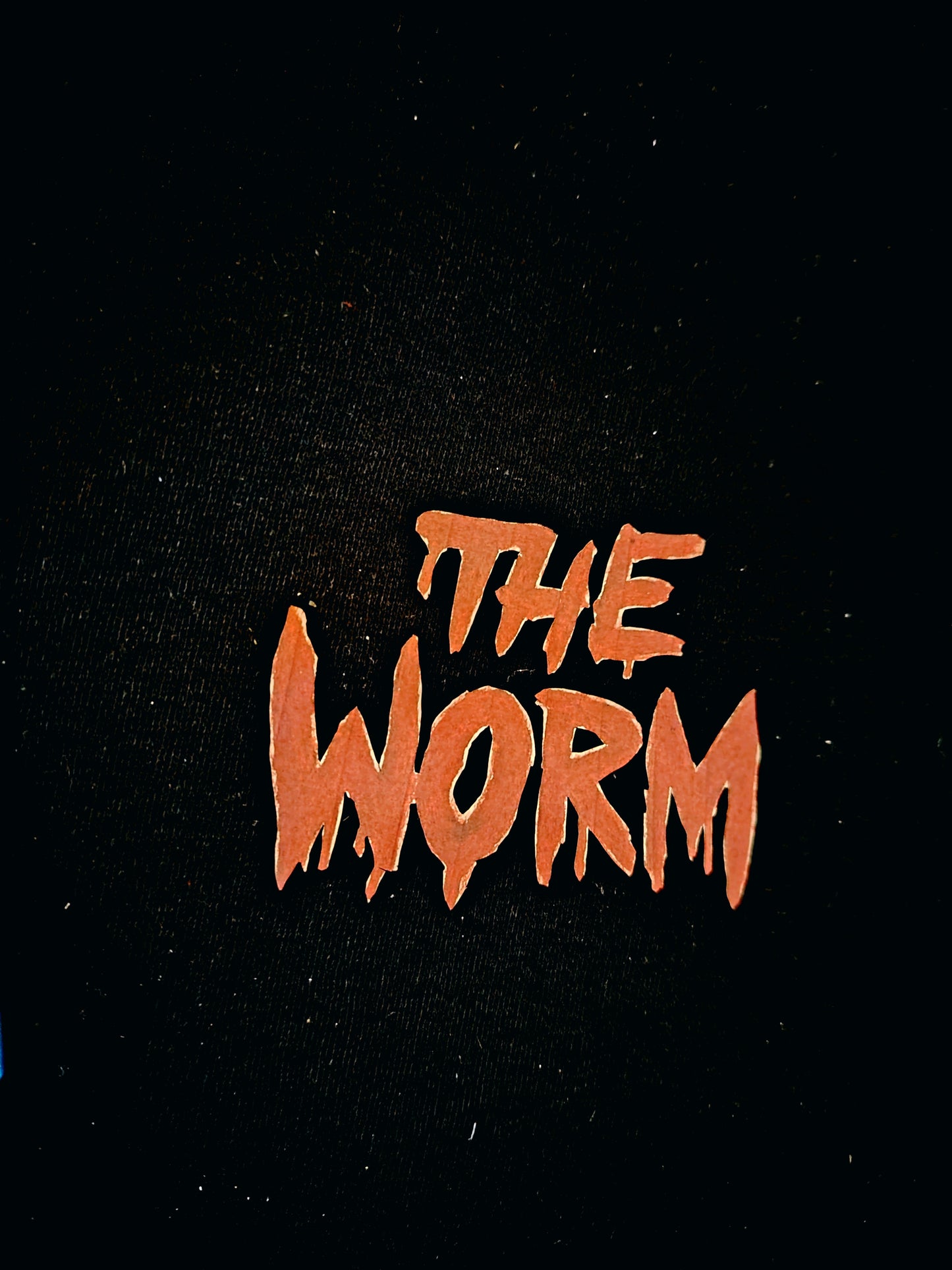 Sweat a capuche zippé "the worm"